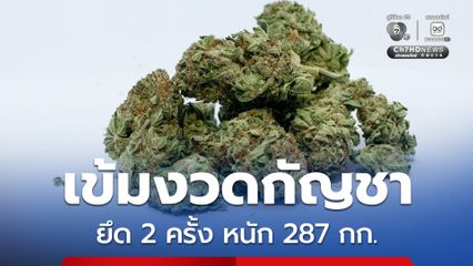 กรมการแพทย์แผนไทยฯ ลุยยึดกัญชา 2 ครั้ง หนัก 287 กก.