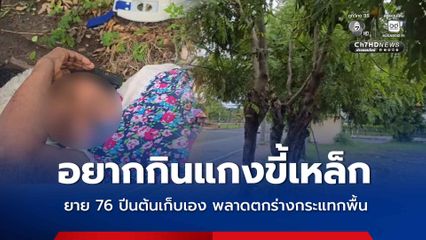 อยากกินแกงขี้เหล็ก ยาย 76 ปีนต้นเก็บเอง พลาดตกร่างกระแทกพื้น