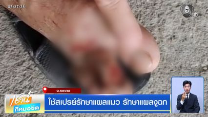 ใช้สเปรย์รักษาแผลแมว รักษาแผลงูฉก จ.ระยอง
