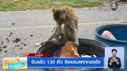 จับแล้ว 130 ตัว ลิงแสมแหกกรงขัง จ.ลพบุรี