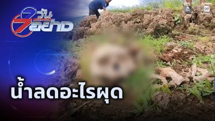 7 วัน 7 อย่าง : น้ำลดอะไรผุด