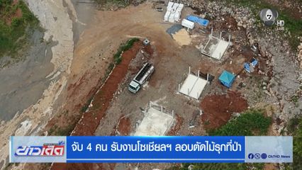 จับ 4 คน รับงานโซเชียลฯ ลอบตัดไม้รุกที่ป่า