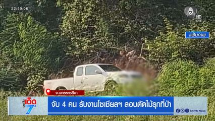 จับ 4 คน รับงานโซเชียลฯ ลอบตัดไม้รุกที่ป่า