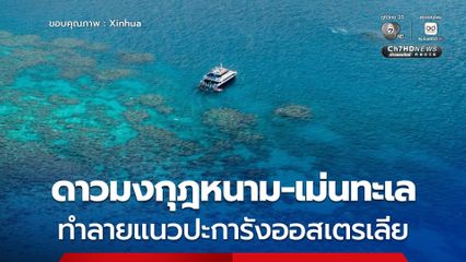 นักวิจัยเตือน ดาวมงกุฎหนาม เม่นทะเล ระบาดหนัก ทำลายแนวปะการังออสเตรเลีย
