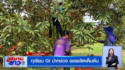 ทุเรียน GI ปากช่อง ผลผลิตเต็มต้น รสชาติอร่อย เป็นเอกลักษณ์