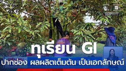 ทุเรียน GI ปากช่อง ผลผลิตเต็มต้น รสชาติอร่อย เป็นเอกลักษณ์