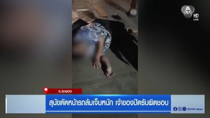 สุนัขตัดหน้ารถล้มเจ็บหนัก เจ้าของปัดรับผิดชอบ