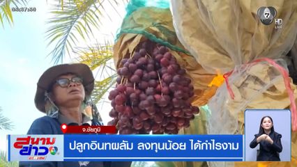 ปลูกอินทผลัม ลงทุนน้อย ได้กำไรงาม จ.ชัยภูมิ