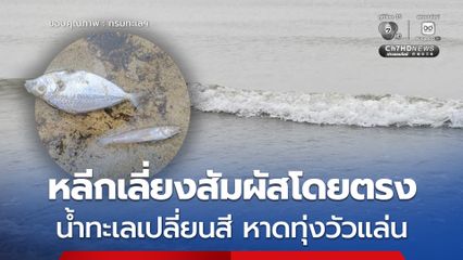 แนะนำหลีกเลี่ยงสัมผัสโดยตรง “น้ำทะเลเปลี่ยนสี” หาดทุ่งวัวแล่น จ.ชุมพร พบเกิดจากการสะพรั่งของแพลงก์ตอนพืช