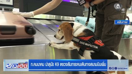 ก.คมนาคม นำสุนัข K9 ตรวจสัมภาระคนเดินทางสนามบินเพิ่ม