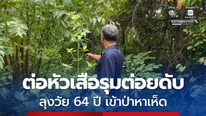 สุดสลด ! ลุงวัย 64 ปี เข้าป่าหาเห็ดโดนต่อหัวเสือรุมต่อยเสียชีวิต ทางภรรยารีบพาไปโรงพยาบาลแต่ไม่ทัน