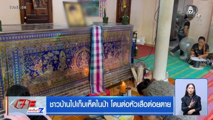 ชาวบ้านไปเก็บเห็ดในป่า โดนต่อหัวเสือต่อยตาย