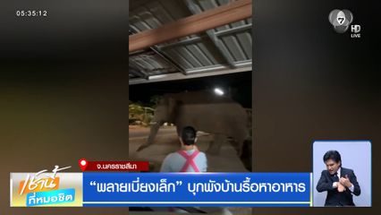 พลายเบี่ยงเล็ก บุกพังบ้านรื้อหาอาหาร