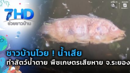 ชาวบ้านโวย ! น้ำเสียทำสัตว์น้ำตาย พืชเกษตรเสียหาย จ.ระยอง