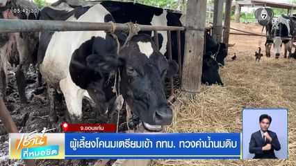 ผู้เลี้ยงโคนมเตรียมเข้า กทม. ทวงค่าน้ำนมดิบ จ.ขอนแก่น