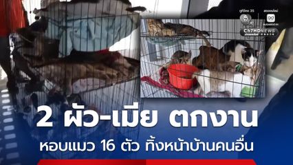 2 ผัว-เมีย ตกงาน หอบแมว 16 ตัวจากชลบุรีวางทิ้งหน้าบ้านคนอื่น ที่ปทุมธานี