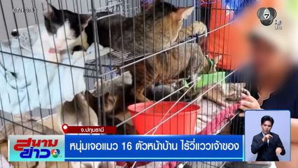 หนุ่มเจอแมว 16 ตัวหน้าบ้าน ไร้วี่แววเจ้าของ