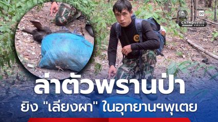 รู้ตัวแล้ว ! แก๊งนายพรานป่า ล่าเลียงผาในเขตอุทยานแห่งชาติพุเตย
