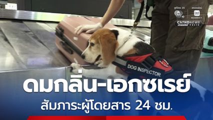 สุนัข K9 ดมกลิ่น-เอกซเรย์สัมภาระผู้โดยสาร 24 ชม. สกัดเครือข่ายยาเสพติด