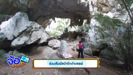 ร่วมสัมผัสป่าดึกดำบรรพ์