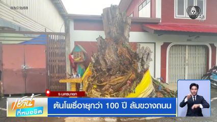 ฝนฟ้าอากาศเช้านี้ 8 ก.ค.69 | ต้นโพธิ์อายุกว่า 100 ปี ล้มขวางถนน