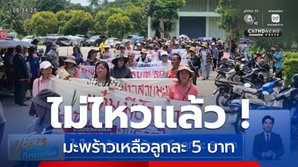 ไม่ไหวแล้ว ! มะพร้าวเหลือลูกละ 5 บาท ชาวสวนเรียกร้องหยุดการนำเข้า