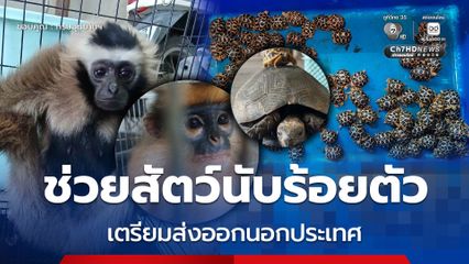 ช่วยสัตว์นับร้อยตัว เตรียมส่งออกนอกประเทศ