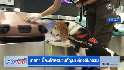 นายกฯ ชี้คนลักลอบขนกัญชา ต้องรับกรรม