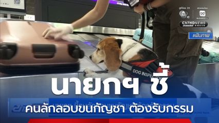 นายกฯ ชี้คนลักลอบขนกัญชา ต้องรับกรรม
