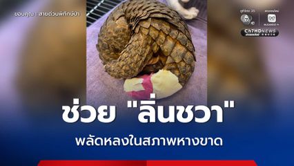 ช่วย “ลิ่นชวา” พลัดหลงในสภาพหางขาด