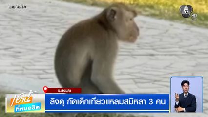 ลิงดุ กัดเด็กเที่ยวแหลมสมิหลา 3 คน วอนหน่วยงานเร่งจัดการ