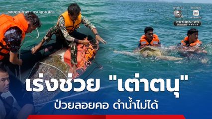 เจ้าหน้าที่ อช.หาดนพรัตน์ธารา-หมู่เกาะพีพี เร่งช่วย “เต่าตนุ” ป่วยลอยคอ ดำน้ำไม่ได้ ก่อนส่งมือหมอ ศวอล. เพื่อรักษาอาการ