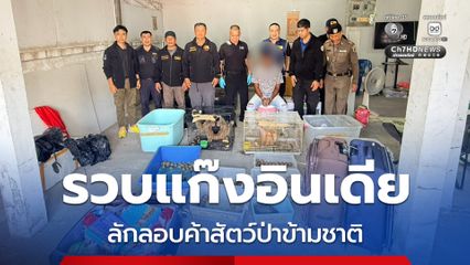 รวบแก๊งอินเดีย ลักลอบค้าสัตว์ป่าข้ามชาติ  ยึดของกลางเป็นเต่าดาวอินเดีย ชะนี และค่างในอินโดนีเซีย พร้อมขยายผลเครือข่าย