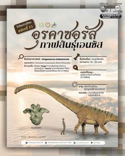 นักวิจัยไทยค้นพบ ไดโนเสาร์ไทยลำดับที่ 15 "อุรคาซอรัส กาฬสินธุ์เอนซิส" ไดโนเสาร์คอยาวชนิดใหม่ของโลก 