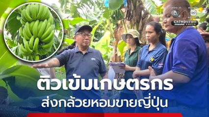 “พาณิชย์” ติวเข้ม! เกษตรกร ผู้ประกอบการ มุ่งชิงตลาด “กล้วยหอม” 1 ล้านตันของญี่ปุ่น