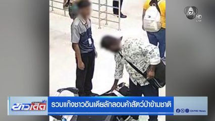 รวบแก๊งชาวอินเดียลักลอบค้าสัตว์ป่าข้ามชาติ