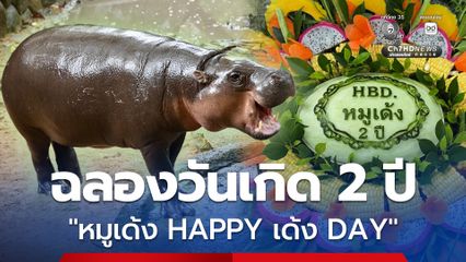 สวนสัตว์เปิดเขาเขียว ชวนฉลองวันเกิด 2 ปี “หมูเด้ง HAPPY เด้ง DAY” เด็ก-ผู้สูงอายุ เที่ยวฟรี 10–12 ก.ค. นี้
