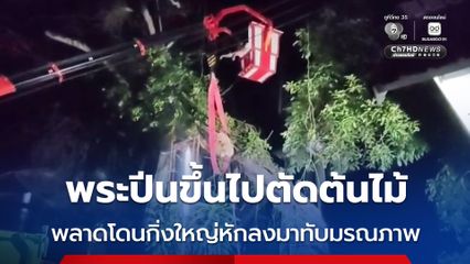 พระปีนขึ้นไปตัดต้นไม้ พลาดโดนกิ่งใหญ่หักลงมาทับมรณภาพ