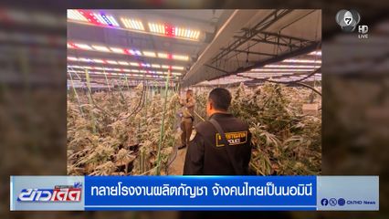 ทลายโรงงานผลิตกัญชา จ้างคนไทยเป็นนอมินี