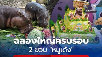 สวนสัตว์เปิดเขาเขียว ฉลองใหญ่ครบรอบ 2 ขวบ “หมูเด้ง” ซูเปอร์สตาร์ระดับโลก