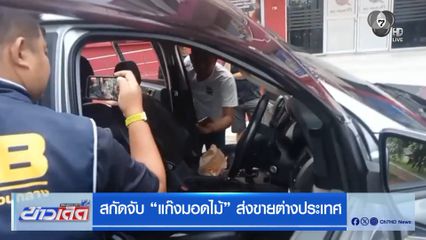 สกัดจับ "แก๊งมอดไม้" ส่งขายต่างประเทศ