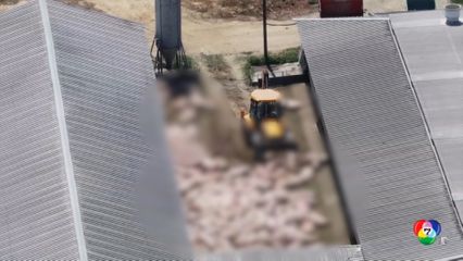 เซอร์เบียฆ่าหมูทิ้งนับหมื่นตัว หลังพบโรคระบาด