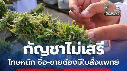 กัญชาไม่เสรี คุมเข้มช่อดอก ซื้อ-ขายต้องมีใบสั่งแพทย์