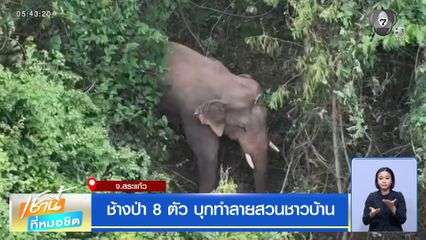 ช้างป่า 8 ตัว บุกทำลายสวนชาวบ้าน
