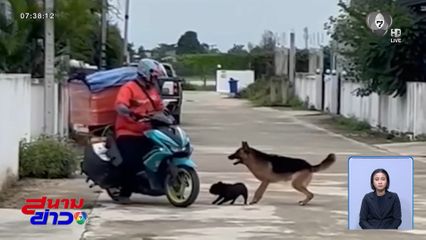 เพื่อนบ้านไม่น่ารัก ปล่อยสุนัขไล่กัด