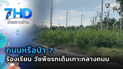 ร้องเรียน วัชพืชรกเต็มเกาะกลางถนน