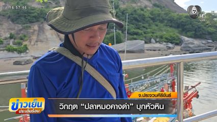 วิกฤต ปลาหมอคางดำ บุกหัวหิน