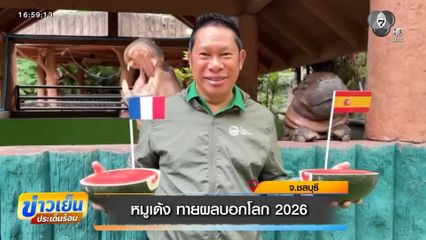 หมูเด้ง ทายผลบอลโลก 2026