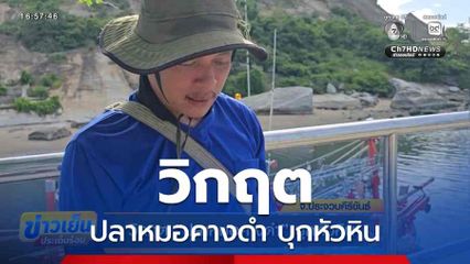 วิกฤต ปลาหมอคางดำ บุกหัวหิน