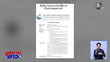 สรุปว่าปลาอะไรอยู่ในกระป๋อง ?
